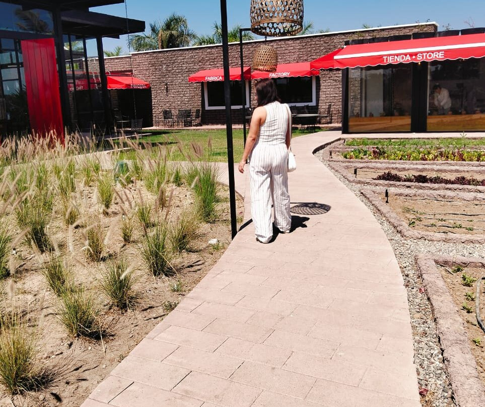 Rancho Orgánico El Edén-新瓦雅塔必去景点