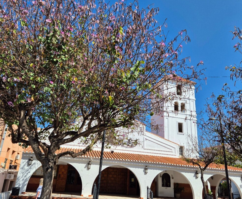 Iglesia de La Inmaculada Concepcion景点图片