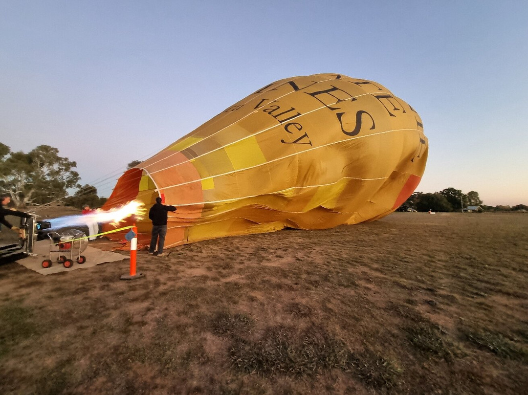 Goldrush Ballooning King Valley-King Valley必去景点