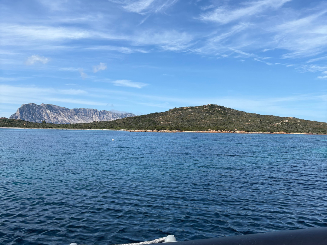 Discovery Diving Sardegna-Puntaldia必去景点