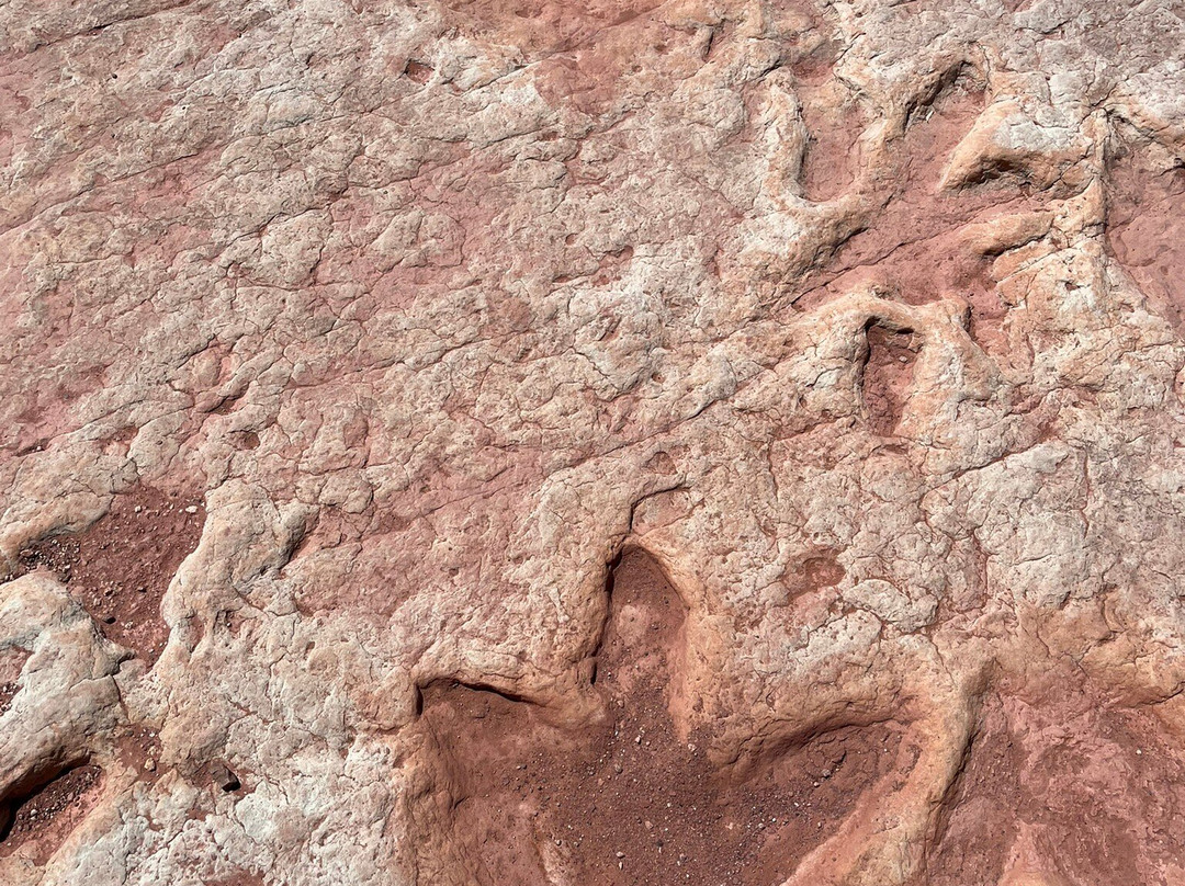 Dinosaur Tracks-蒂巴城必去景点