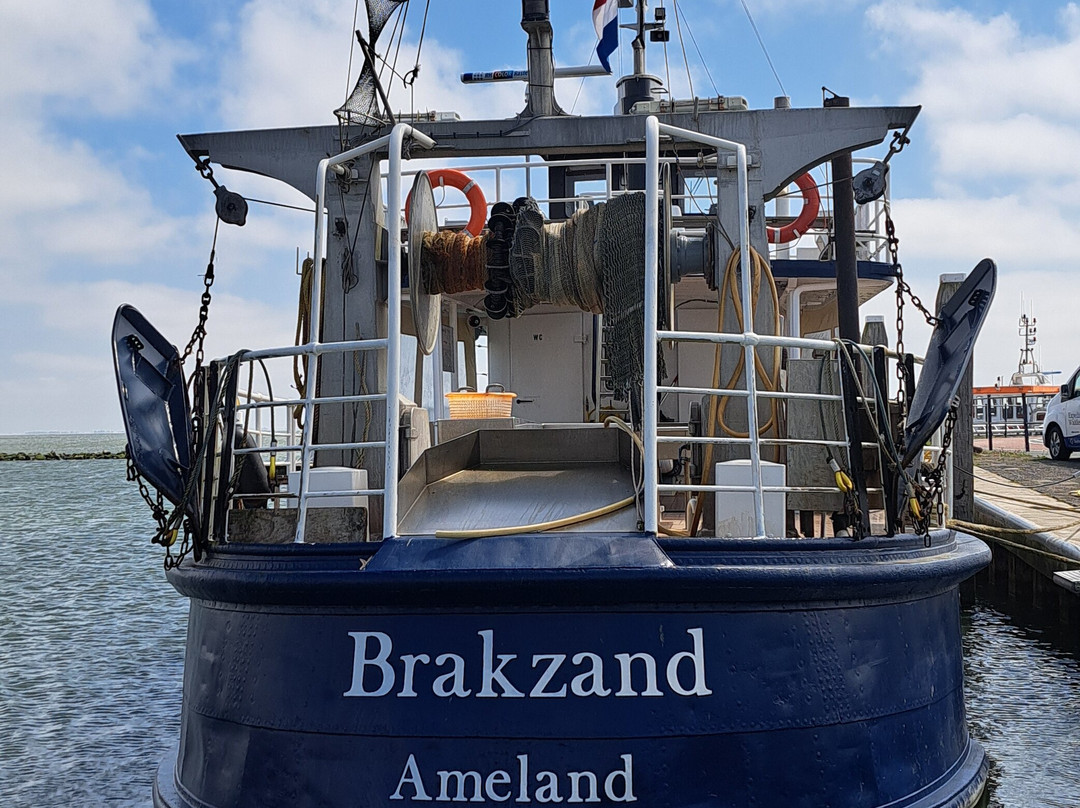 Expeditie Waddenzee-Ballum必去景点