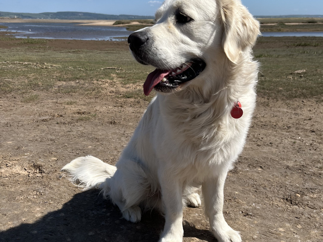 Haverigg Beach景点图片