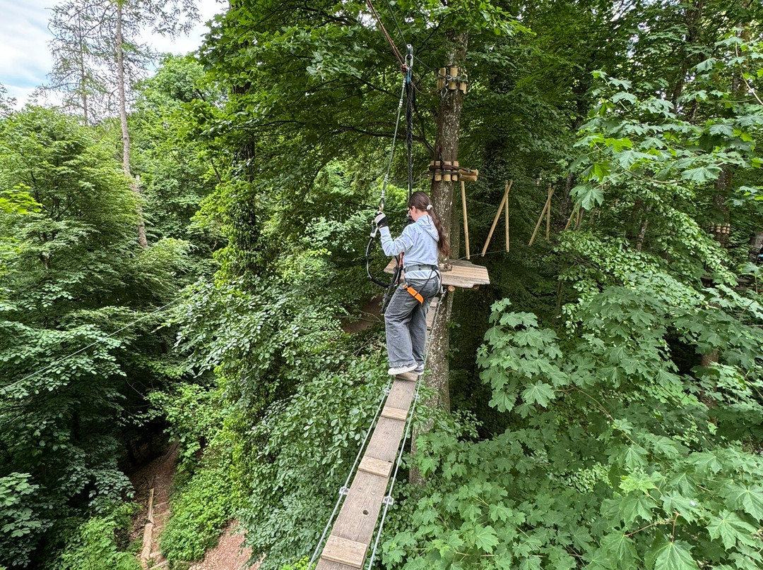Adventure Park Rheinfall-诺伊豪森必去景点