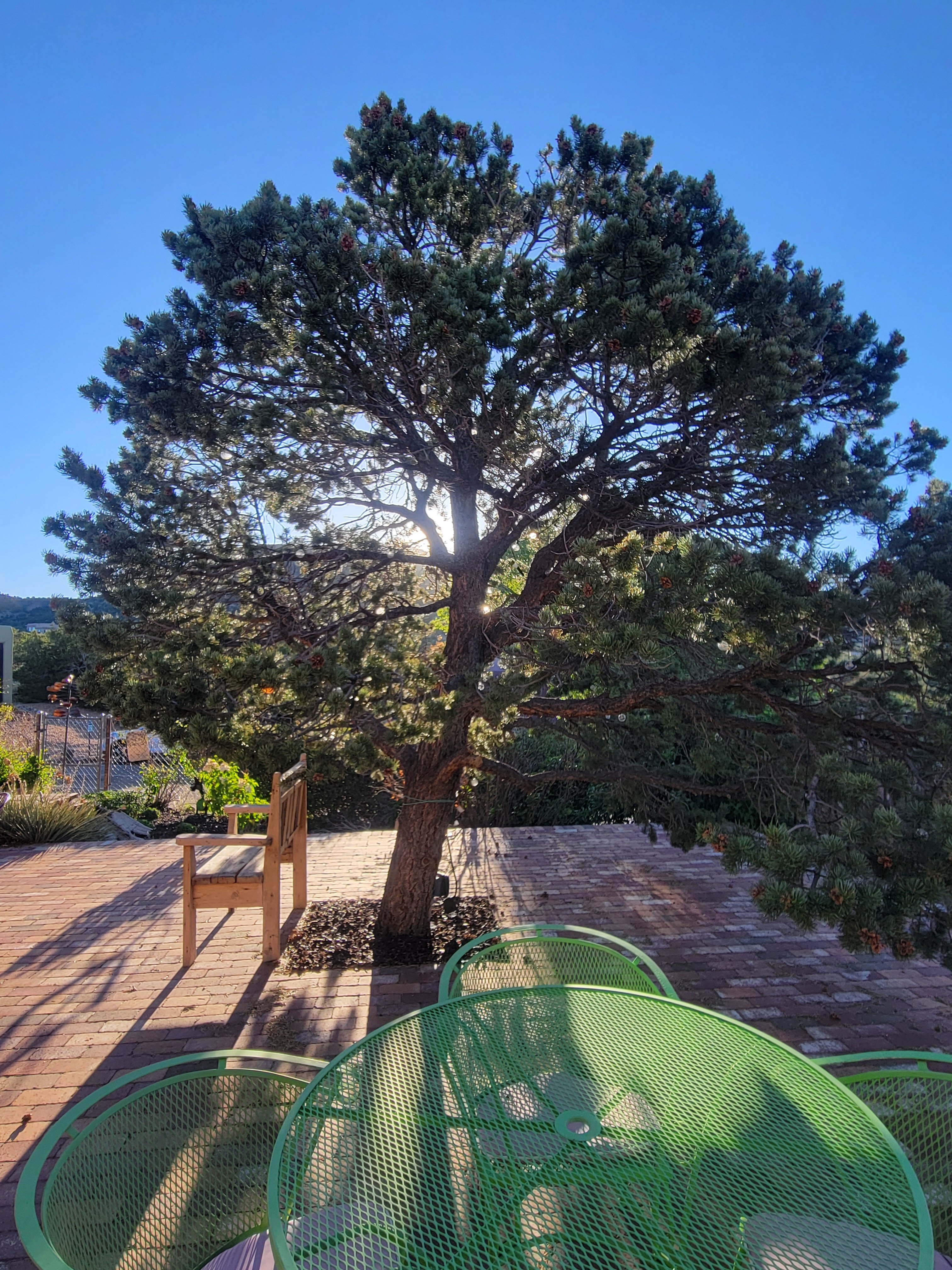 The Bobcat Inn-浴室