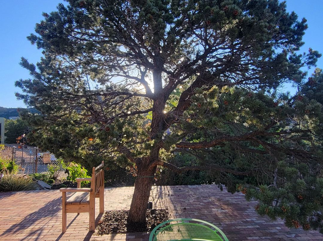 The Bobcat Inn主图