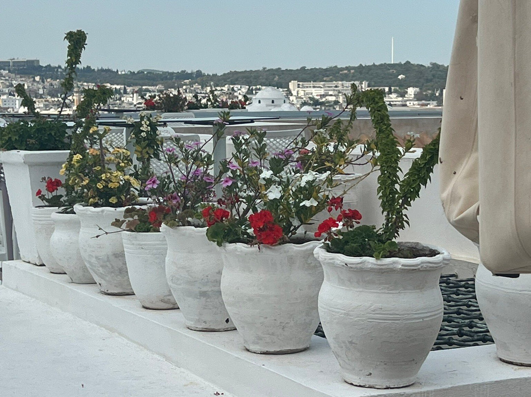 Dar El Jeld-突尼斯必去景点