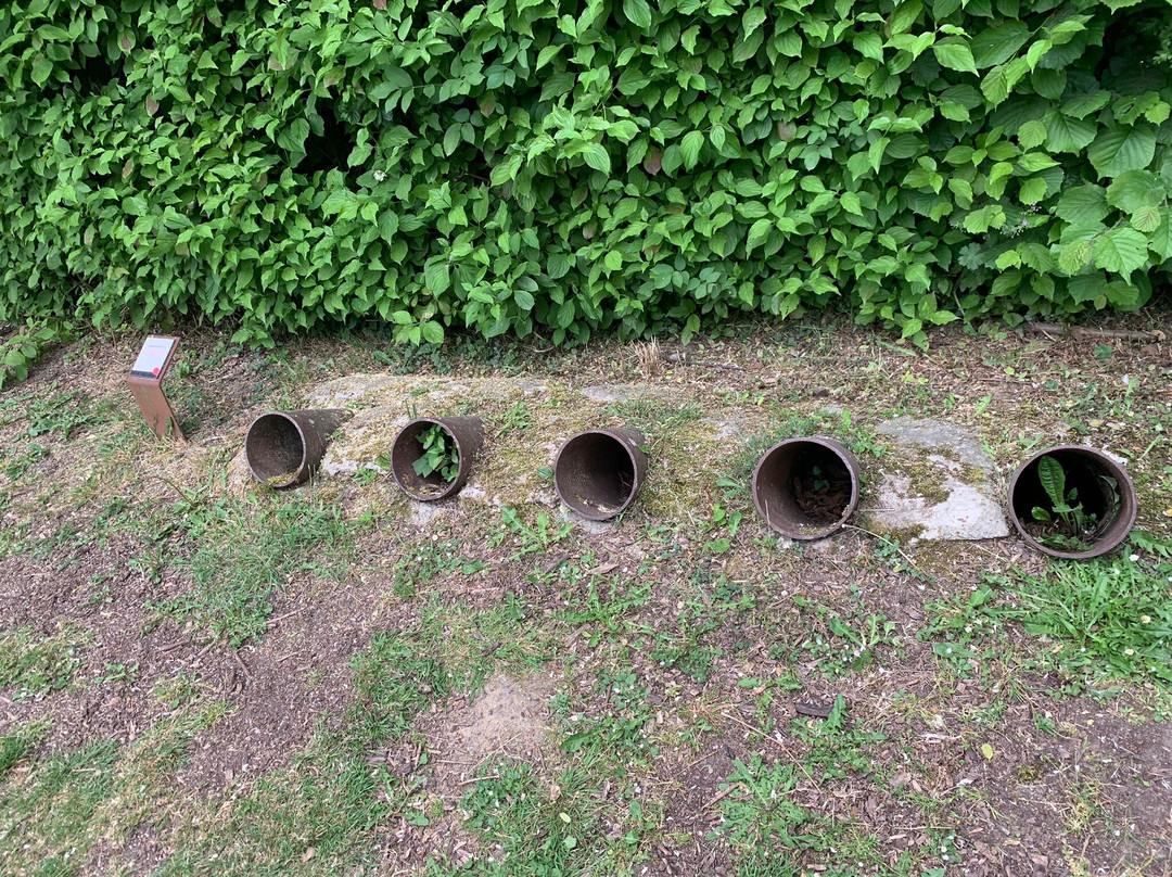 Yorkshire Trench and Dugout景点图片