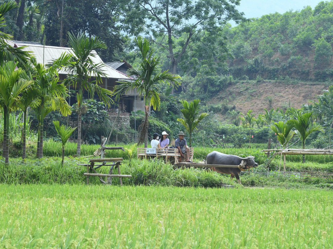 Pu Luong Ancient Stilt House景点图片