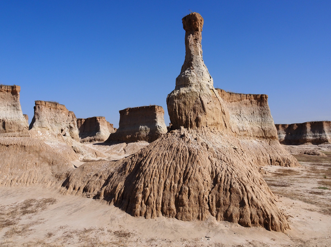 Datong Forest-大同市必去景点