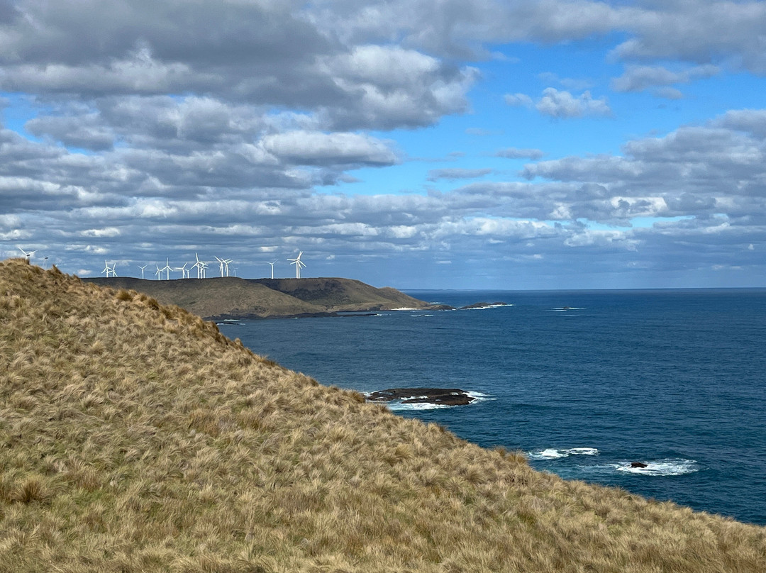 Woolnorth Tours-Woolnorth必去景点