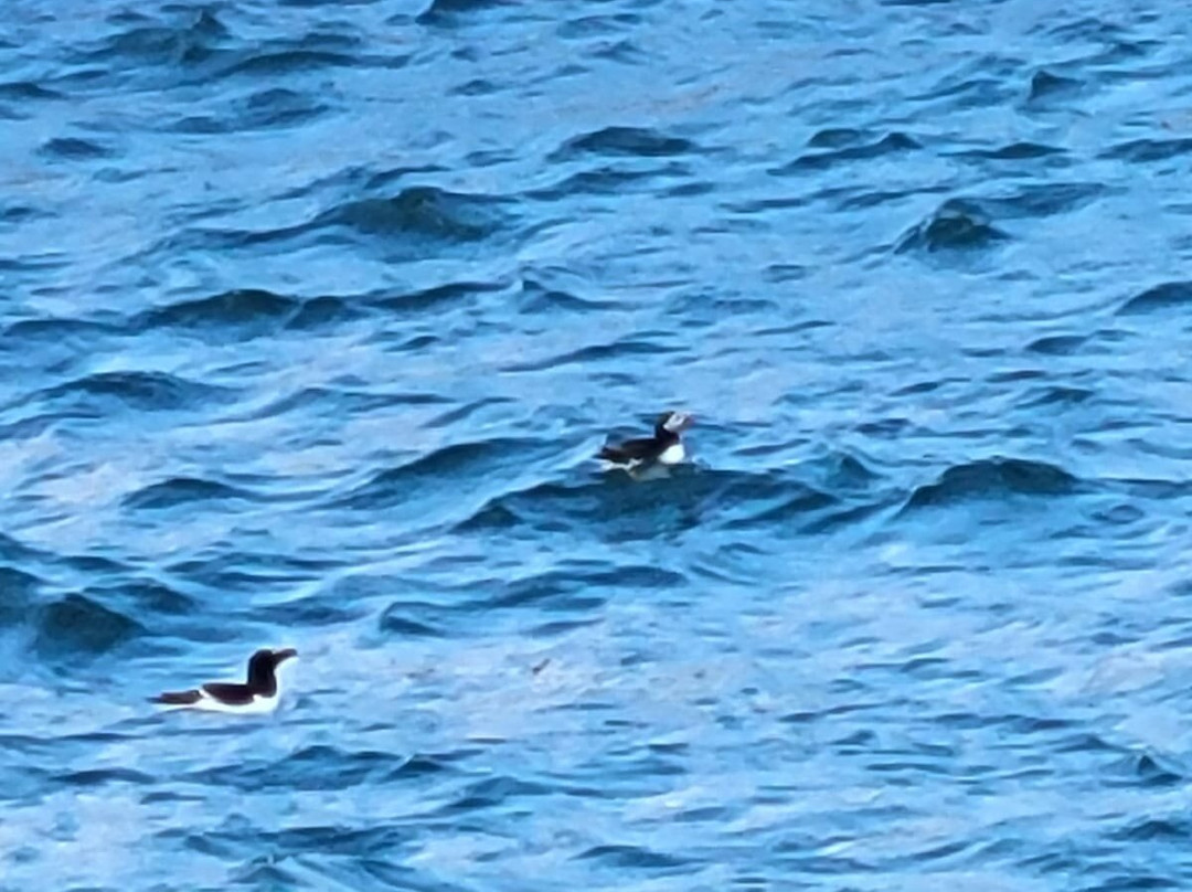 Armor Navigation-皮若斯必去景点