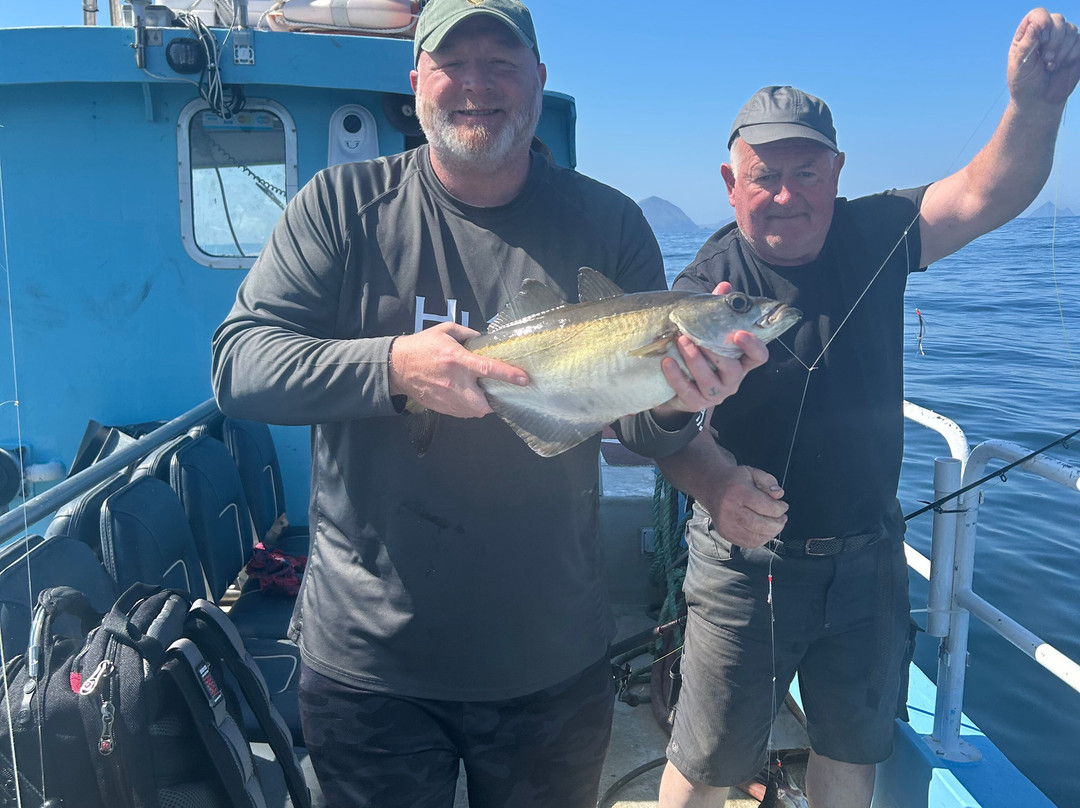 West Kerry Sea Angling and Eco Tours-丁格尔必去景点