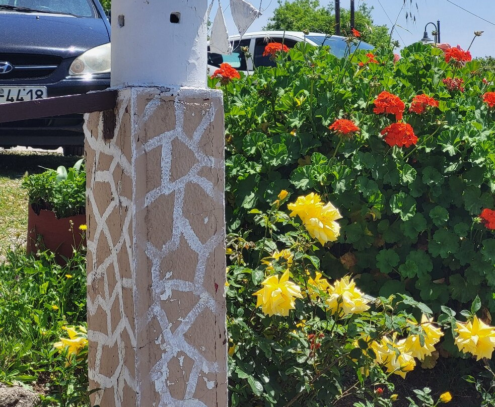 Bumpy Rhodes Safaris-罗德斯必去景点