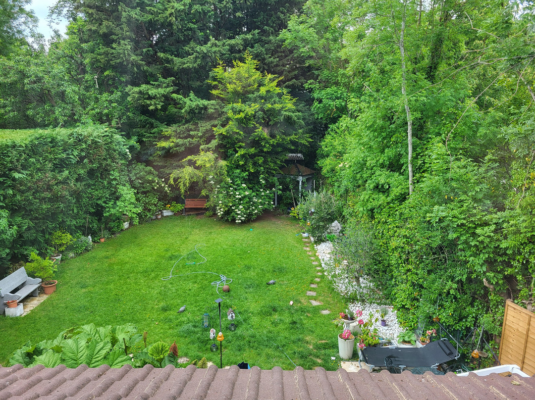 Avonpark House主图