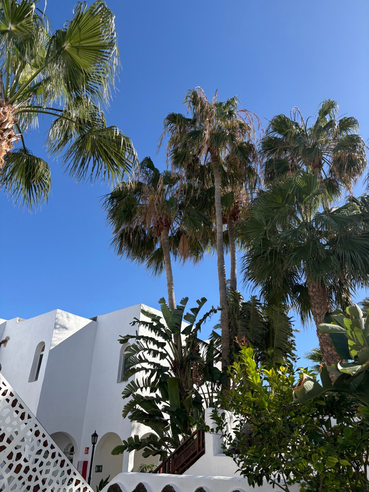 Monte Marina Naturist Resort-官方