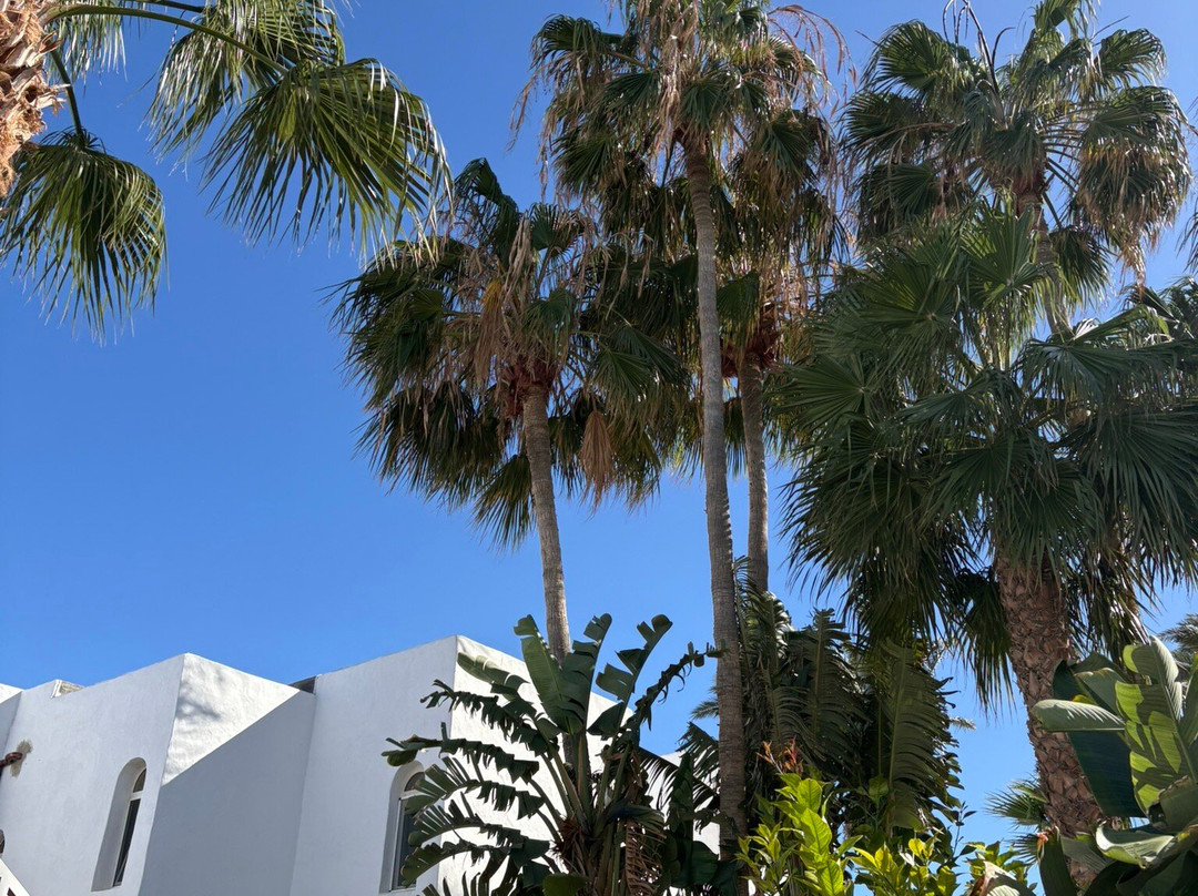 Monte Marina Naturist Resort主图