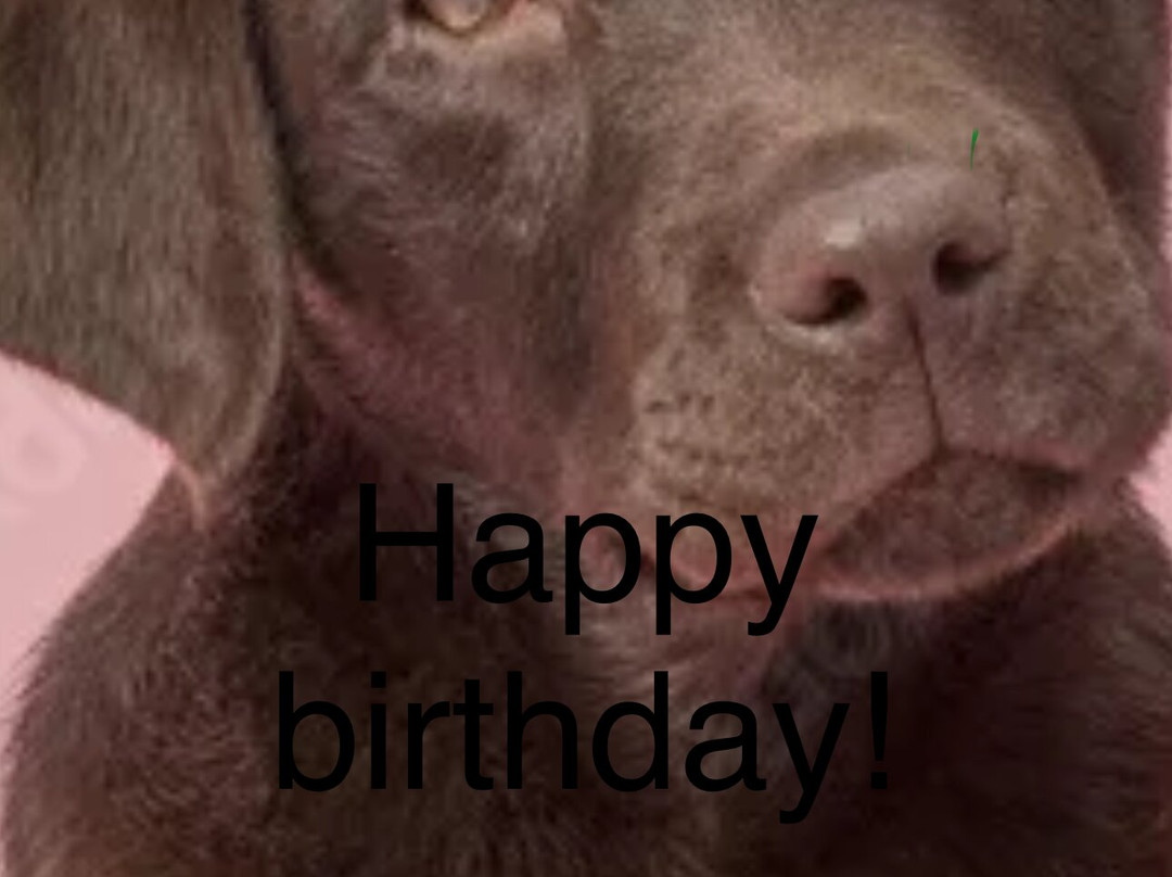 Wamesit Lanes-Tewksbury必去景点