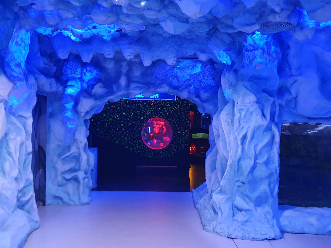 The National Aquarium Abu Dhabi景点图片