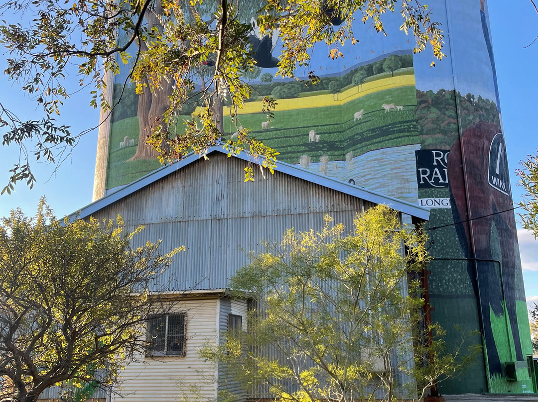 Silo Art Dunedoo-Dunedoo必去景点