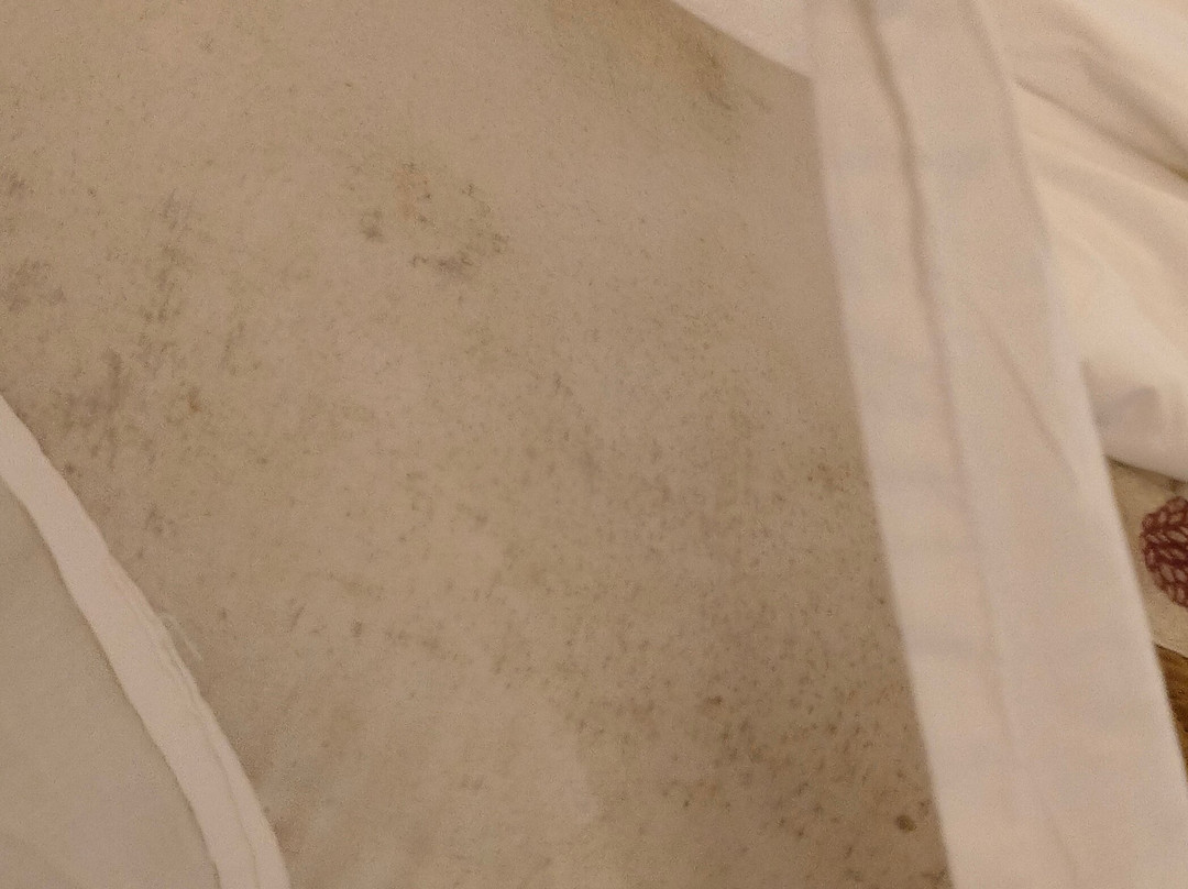 Foxoso LA Beach Resort主图