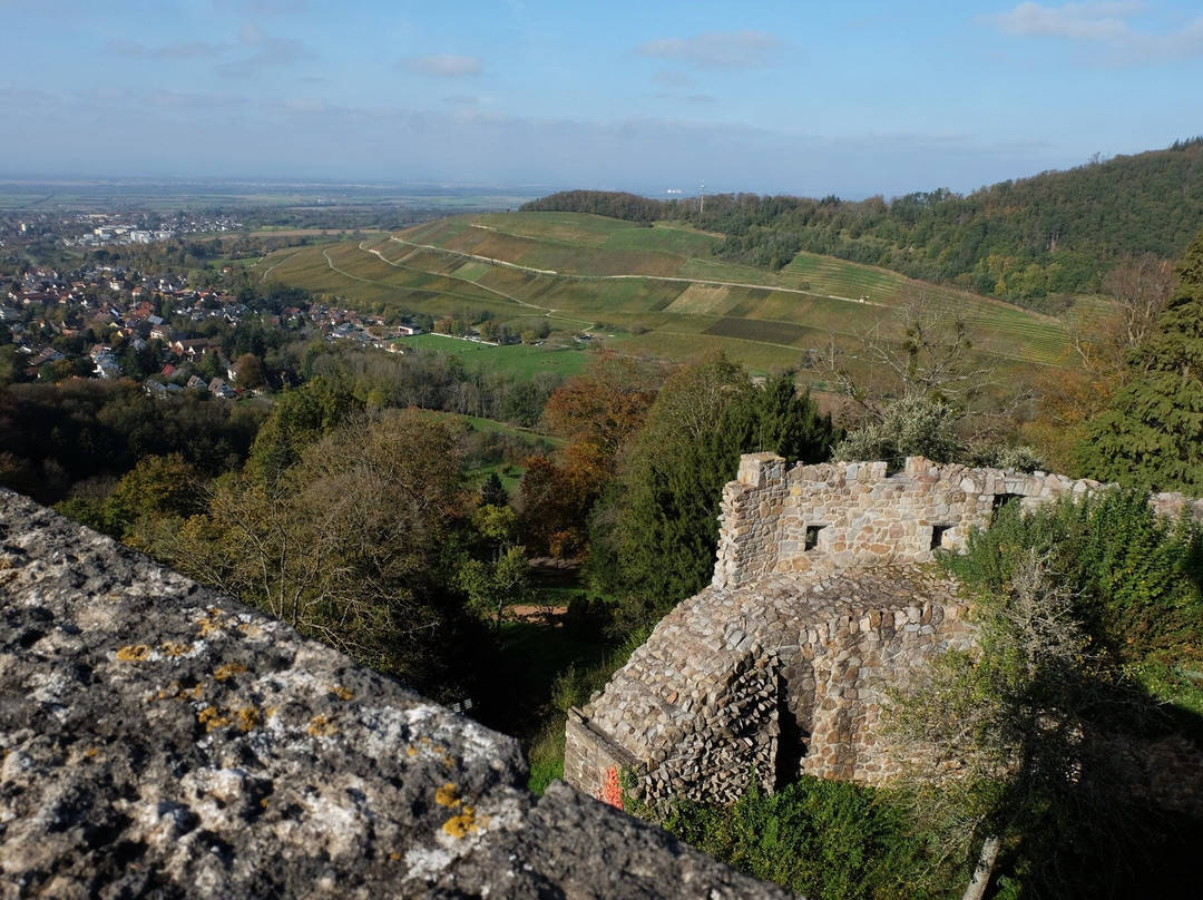 Burg Badenweiler景点图片