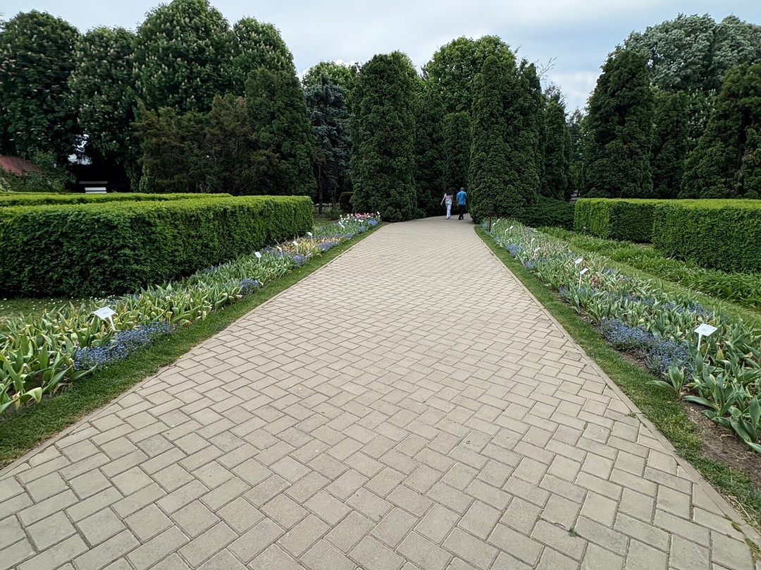 Botanic Garden Anastasie Fătu (Grădina Botanică Anastasie Fătu)景点图片