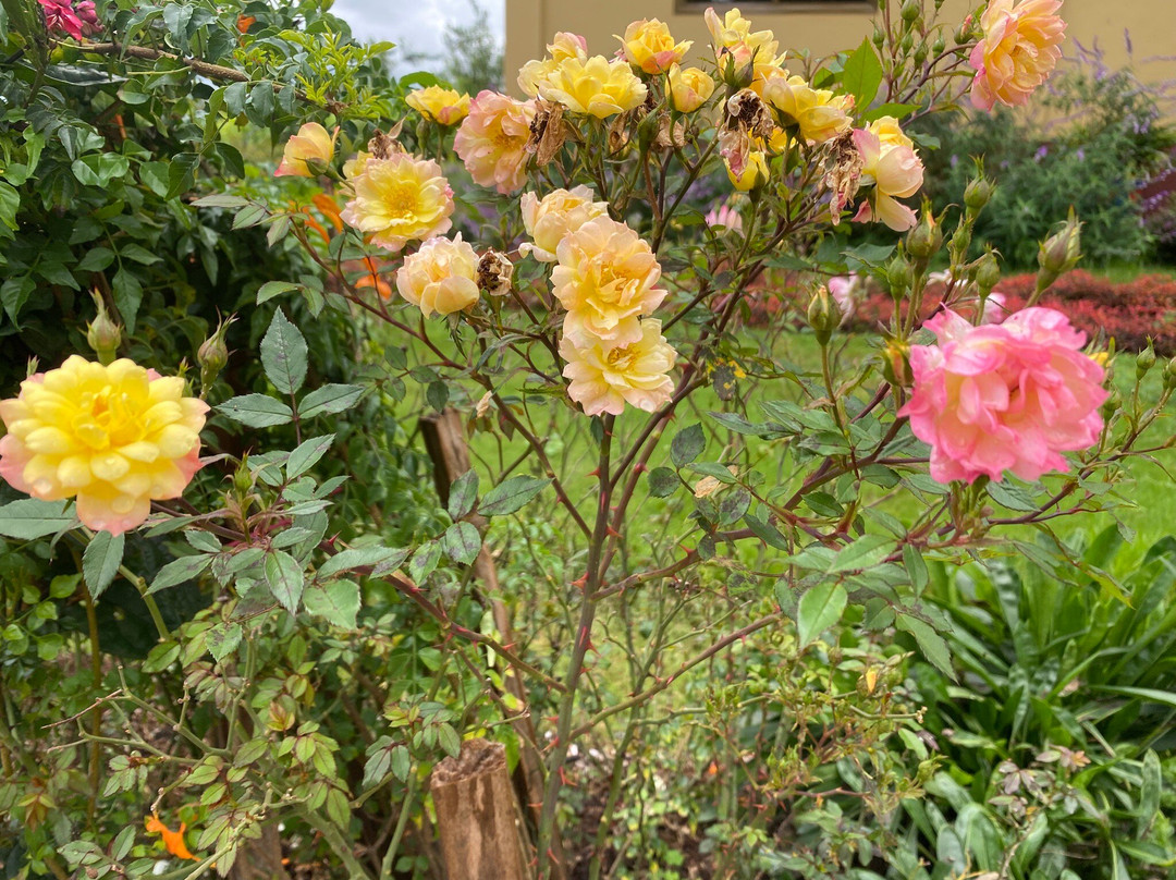 City of Wisdom Hotel