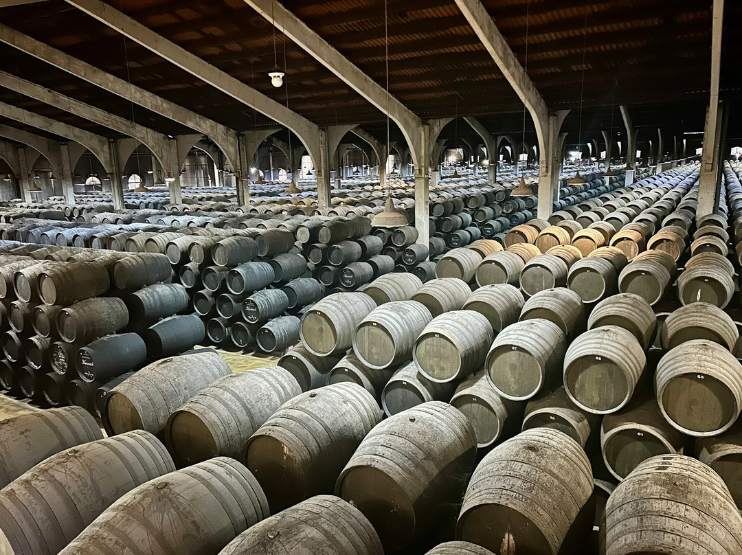 Bodegas Grupo Estevez-赫雷斯德拉弗隆特拉必去景点