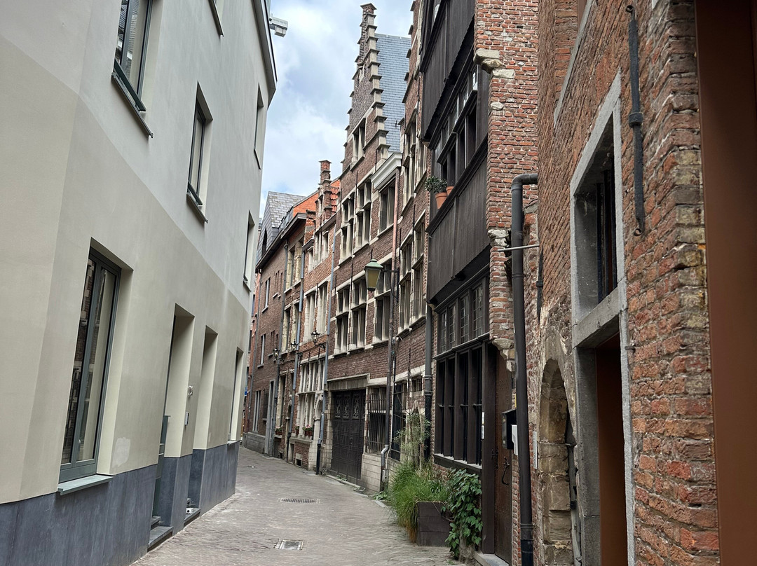 The Oldest House of Antwerp-安特卫普必去景点