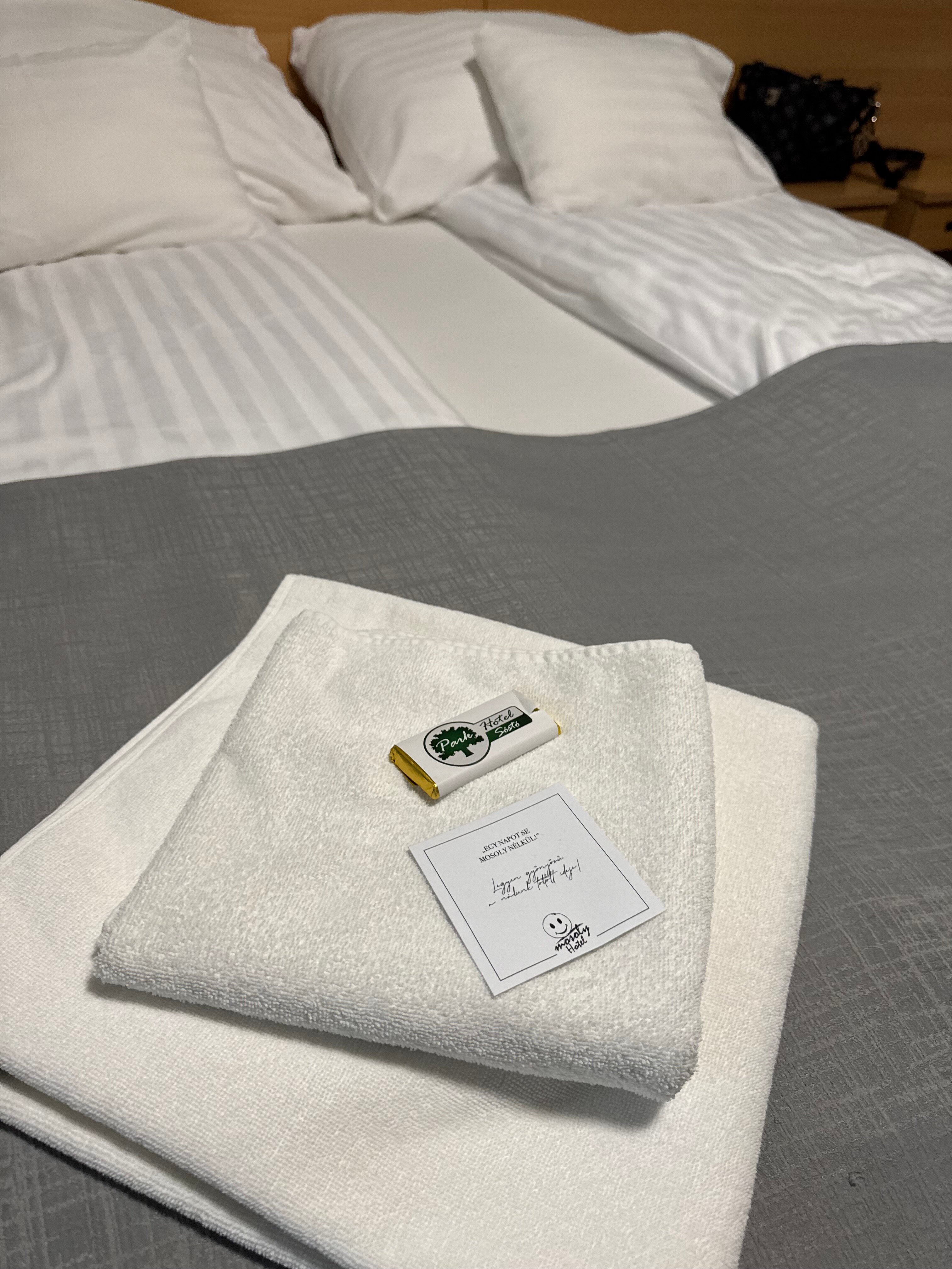 Park Hotel-官方