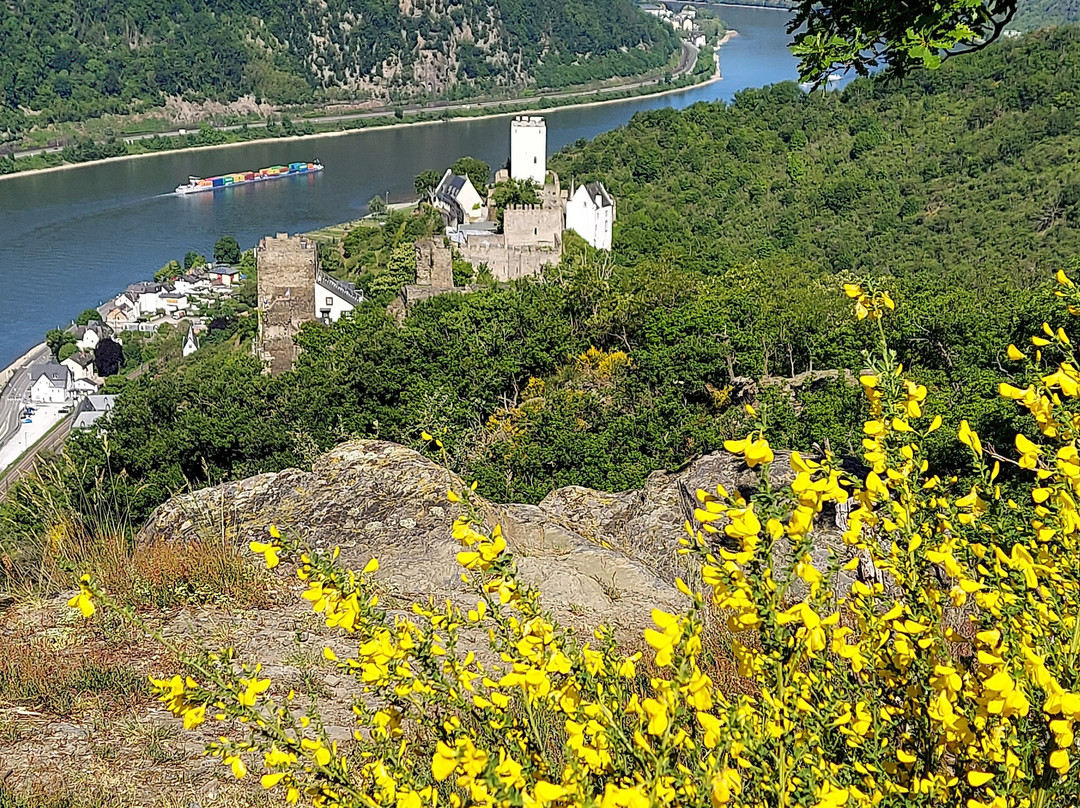 Hotel Castle Liebenstein主图