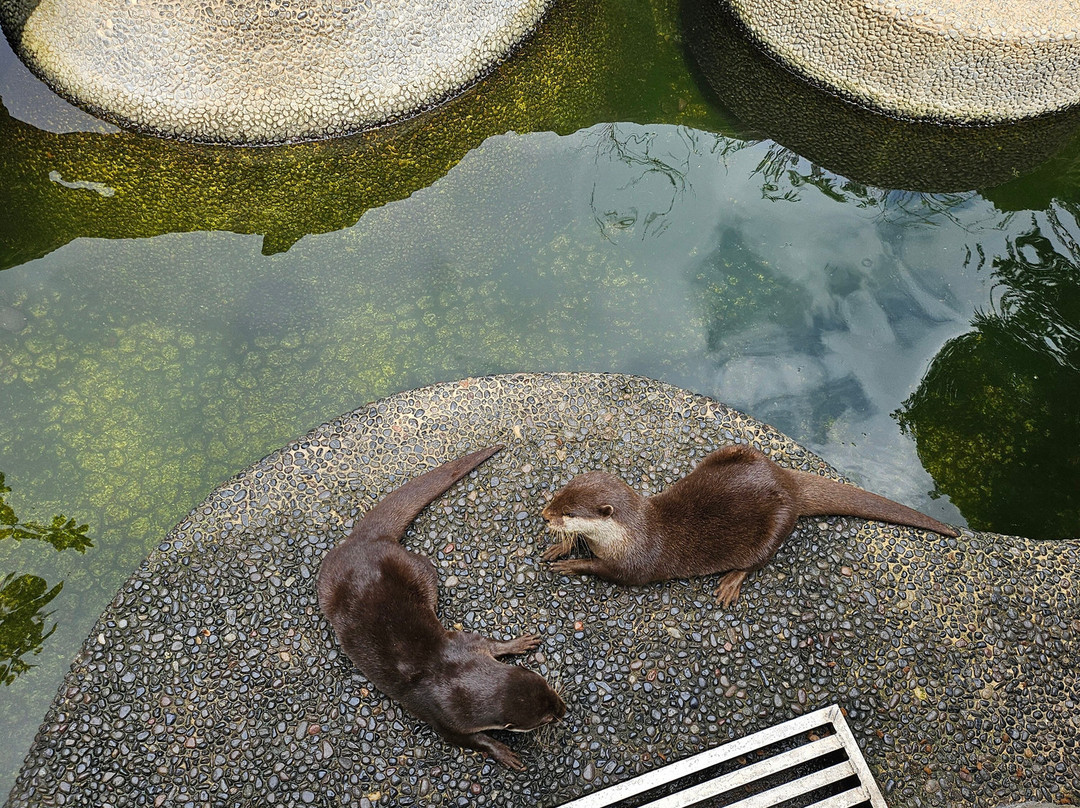 乌布帕德玛酒店主图