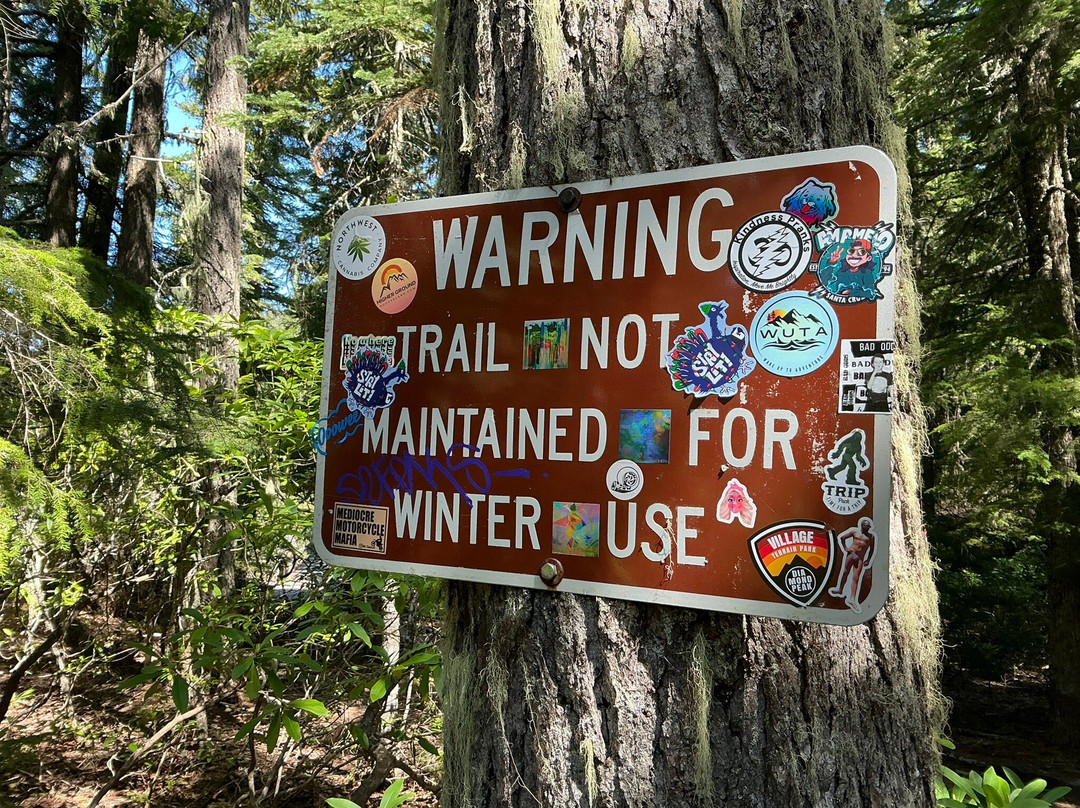 Salt Creek Falls-Oakridge必去景点