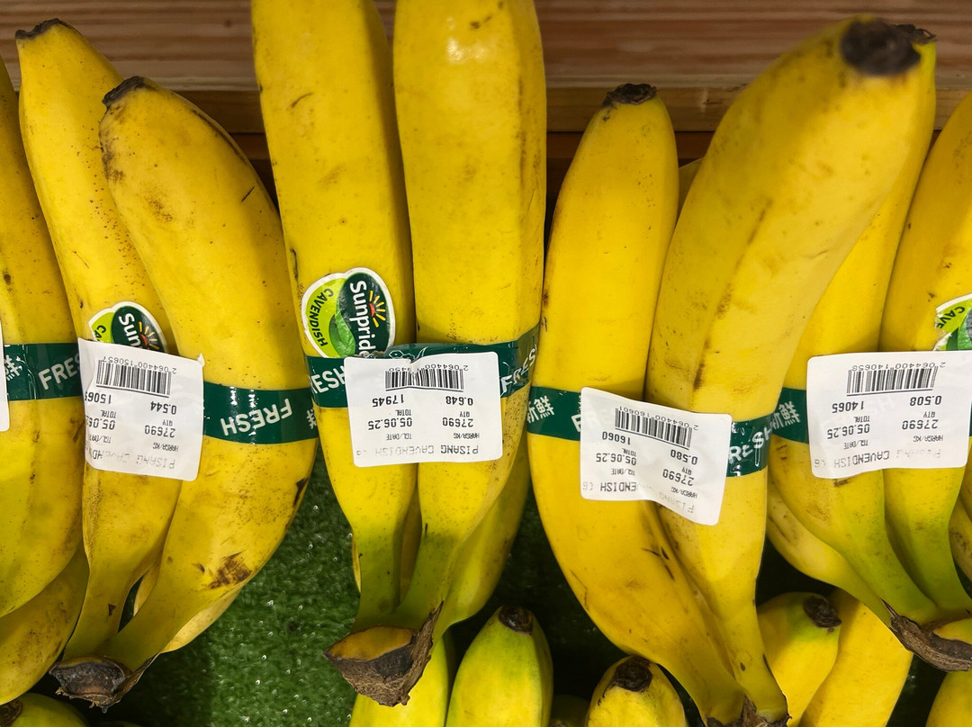 Arta Sedana Sanur-沙努尔必去景点