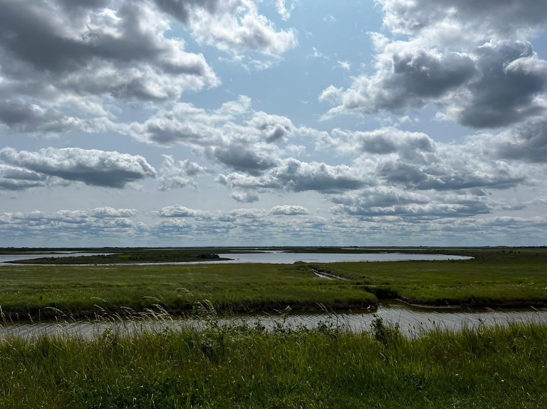 Wallasea Island Wild Coast景点图片