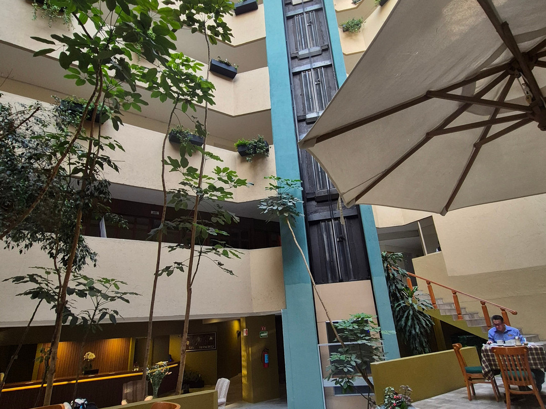 San Francisco Toluca Hotel主图