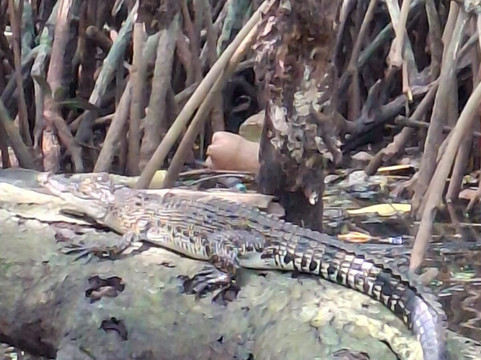 Indi tours-Waskaduwa必去景点