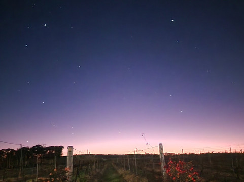 Heritage Estate Winery-Cottonvale必去景点