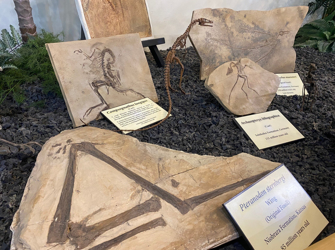 Rocky Mountain Dinosaur Resource Center-Woodland Park必去景点