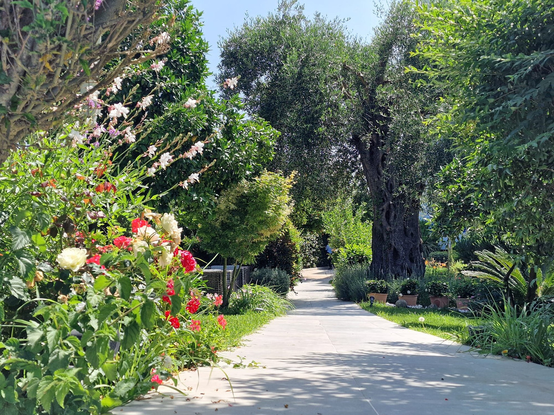 Tryp By Wyndham Corfu Dassia主图