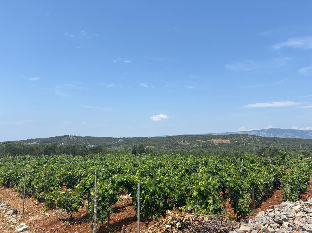 Stari Grad Plain-史塔瑞格雷德必去景点