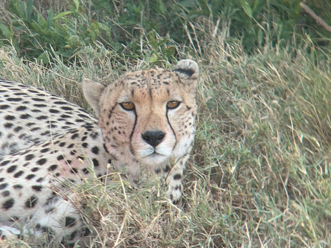 PROCEEDING ADVENTURES LIMITED-Marangu必去景点