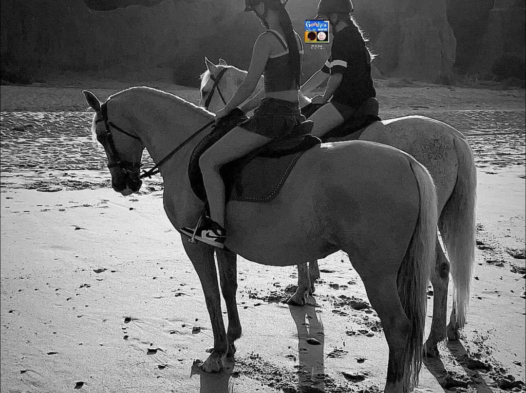 Clube Equestre A Palmeirinha-Almancil必去景点