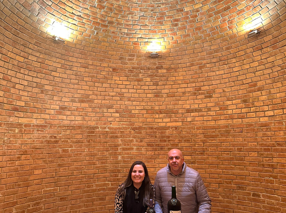 Bodega Monteviejo-Vista Flores必去景点