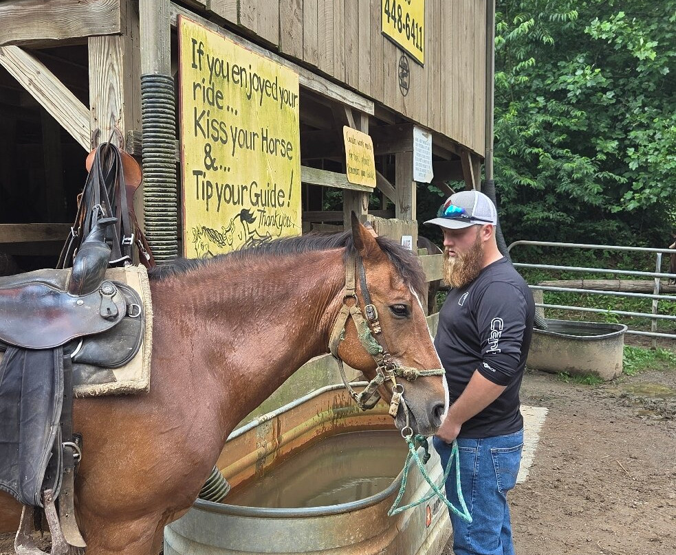 Davy Crockett Riding Stables-汤森必去景点