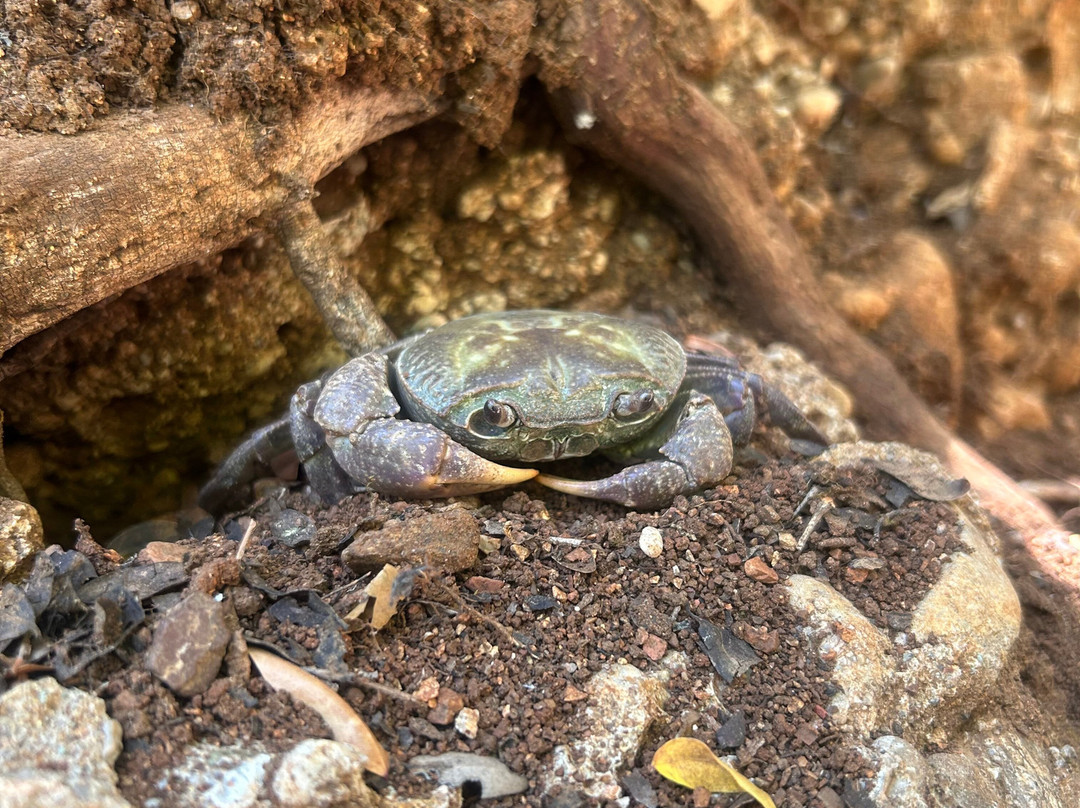 Sigma Travel-罗德斯必去景点