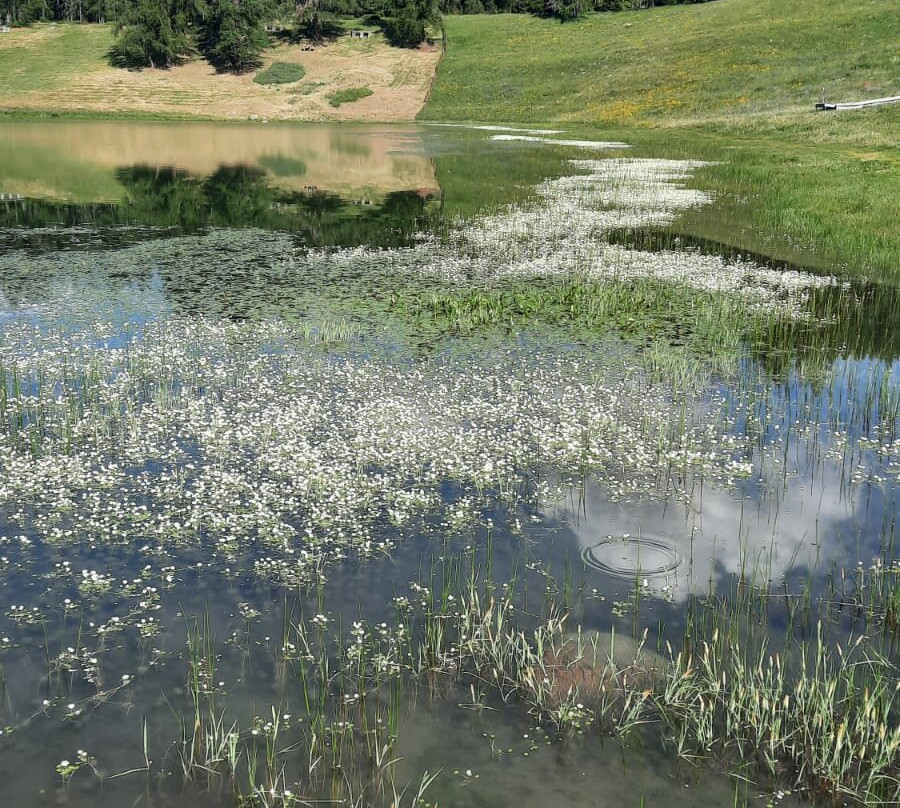 Lago di Lod-Chamois必去景点