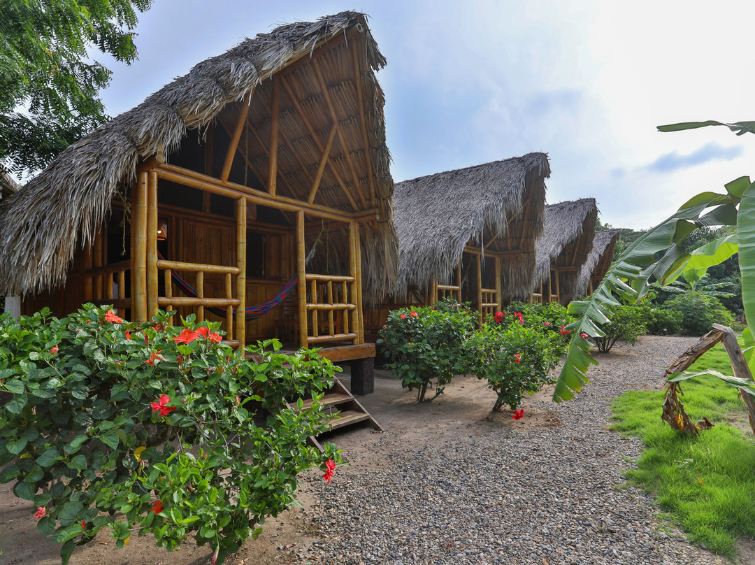 Hostal La Finquita主图