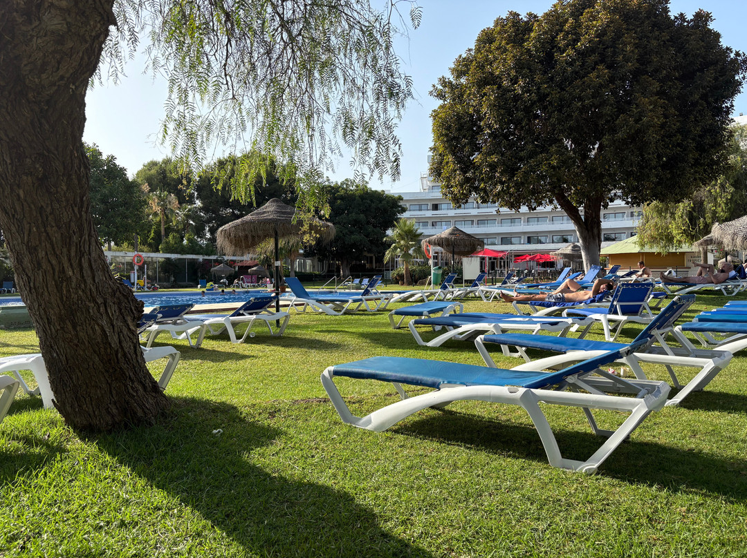 Hotel TRH Paraiso主图